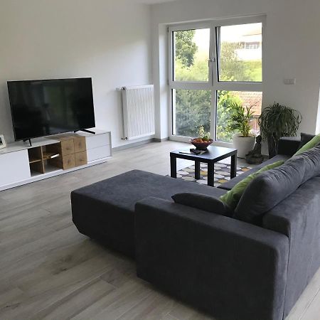 Ferienwohnung „Frosch“ Neukirchen-Balbini Εξωτερικό φωτογραφία